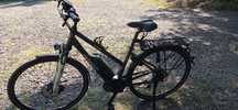 Rower elektryczny Pegasus solero E8