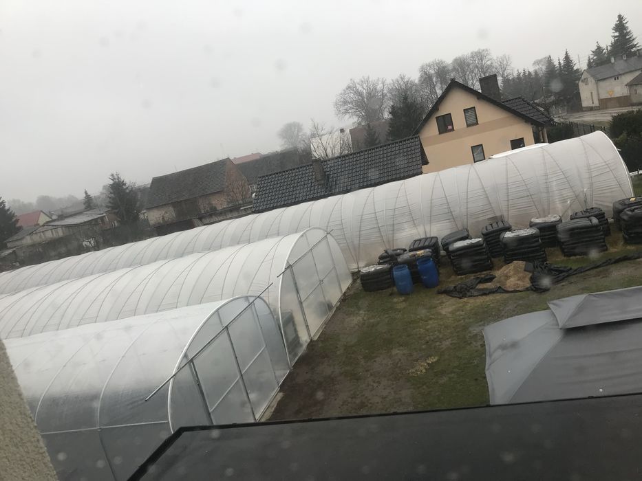 Tunele  foliowe produkcyjne 30x7 3 sztuki ocynk Truskawka