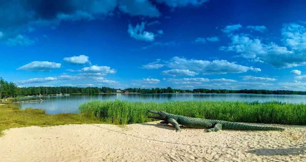 Willa Magda, apartamenty, noclegi przy plaży. Wolne terminy od 27.07