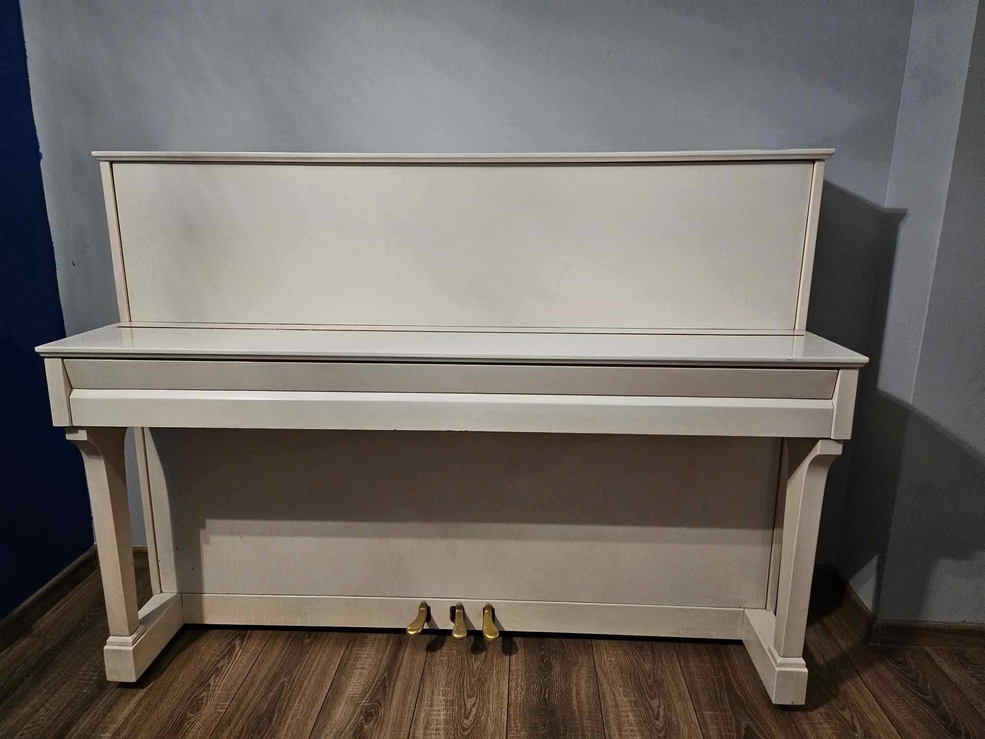 Białe Pianino Polskiej marki Calisia - najwyższy model M-122 Rapsodia