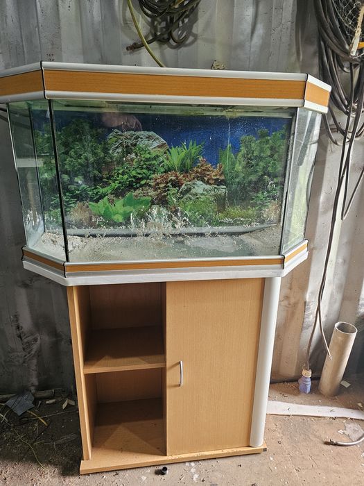 Aquario com móvel