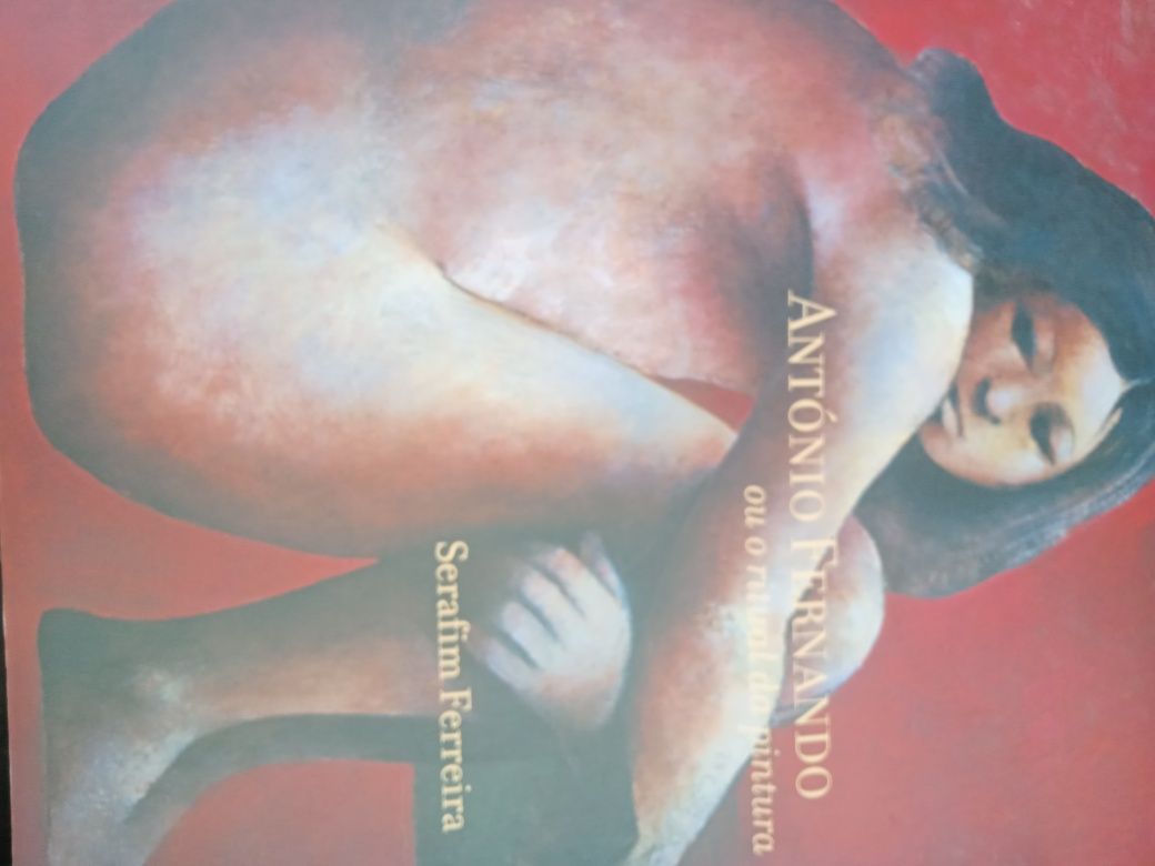 Antônio Fernando ou o ritual da pintura