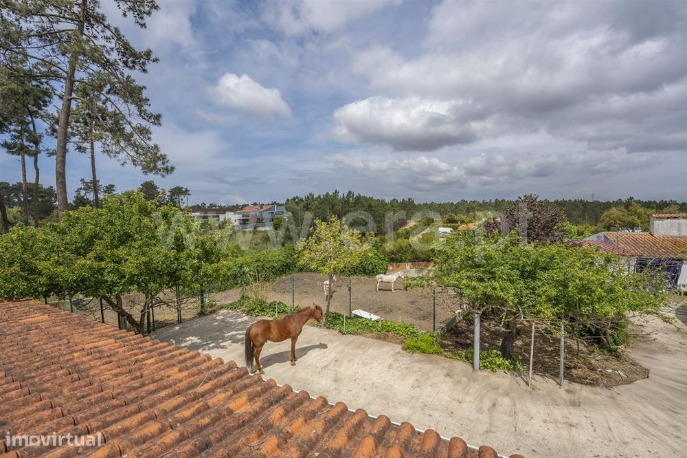 Quinta com área total de 5000m2;  Verdizela