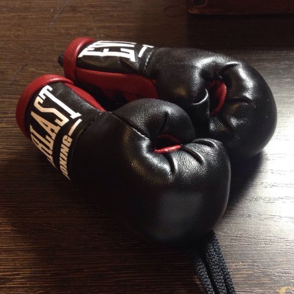 Боксерские перчатки оригинал everlast