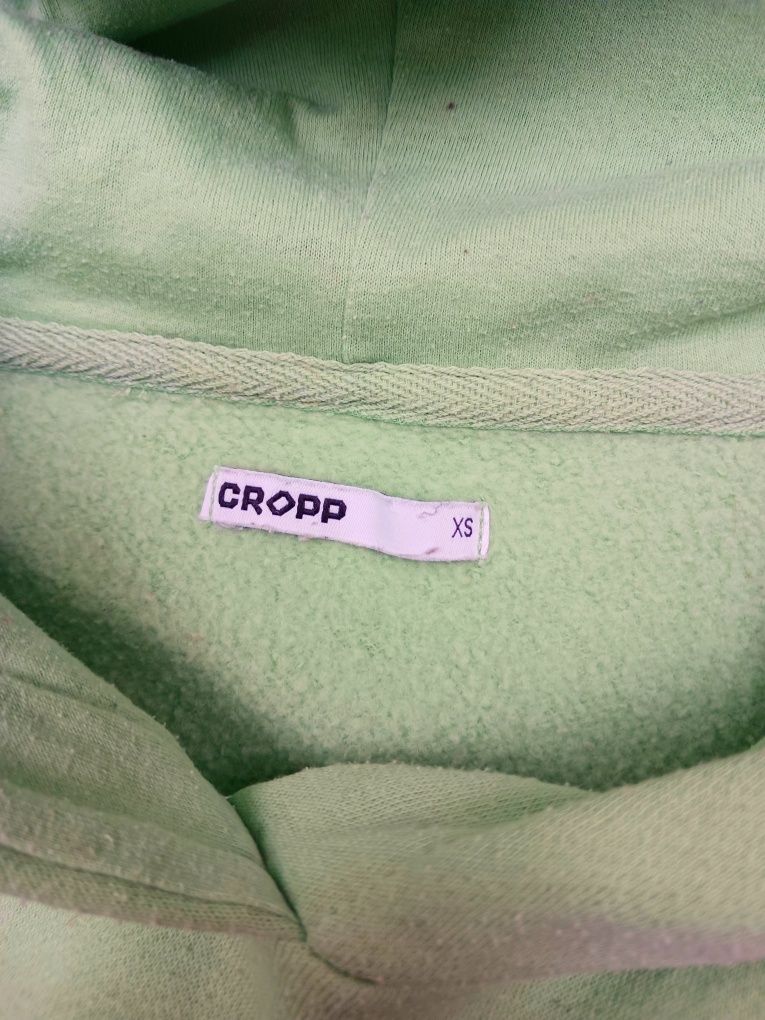 zielona bluza cropp