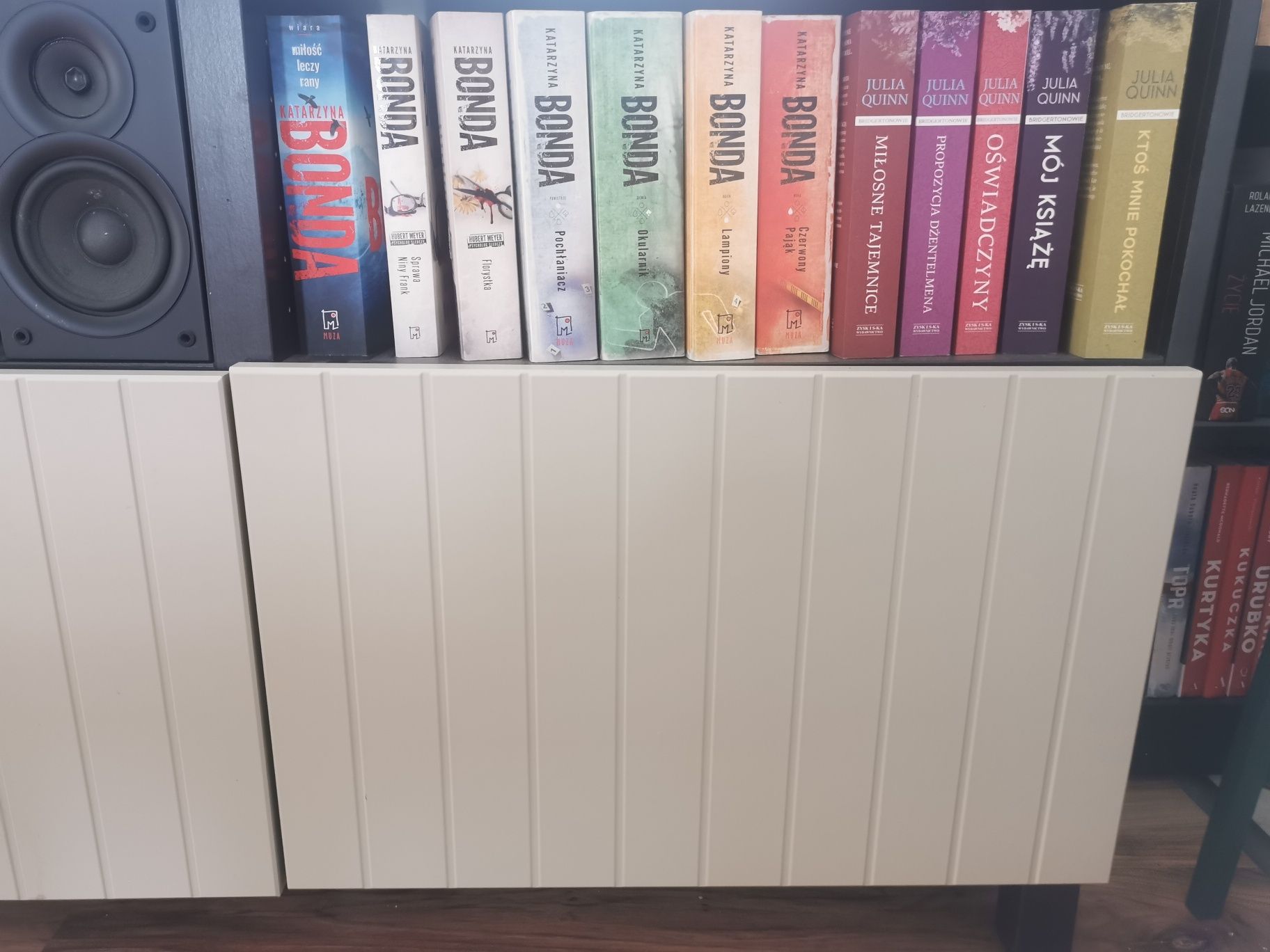 Szafka pod tv IKEA BESTA