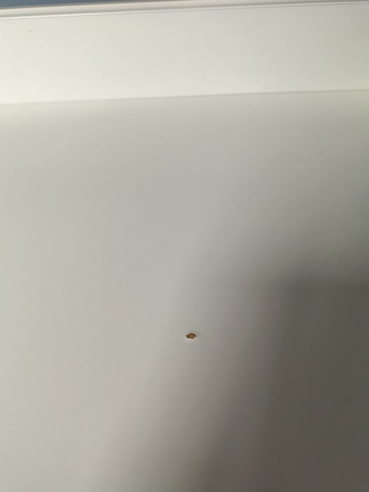 Szafa + komoda z przewijakiem