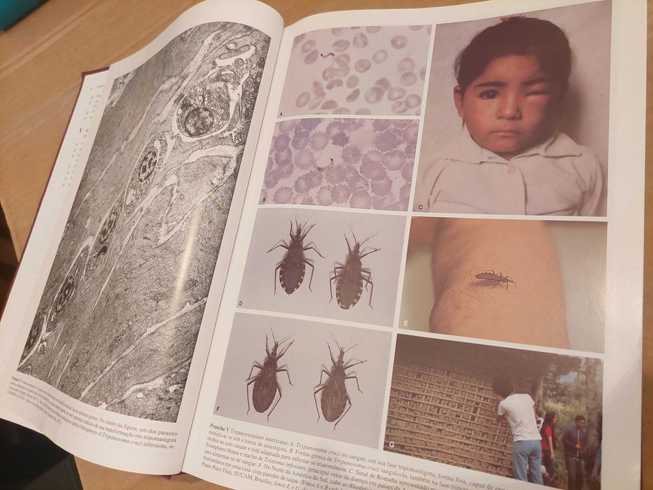 Livro Técnico em Português "Parasitologia", Luis Rey - 3ª Edição