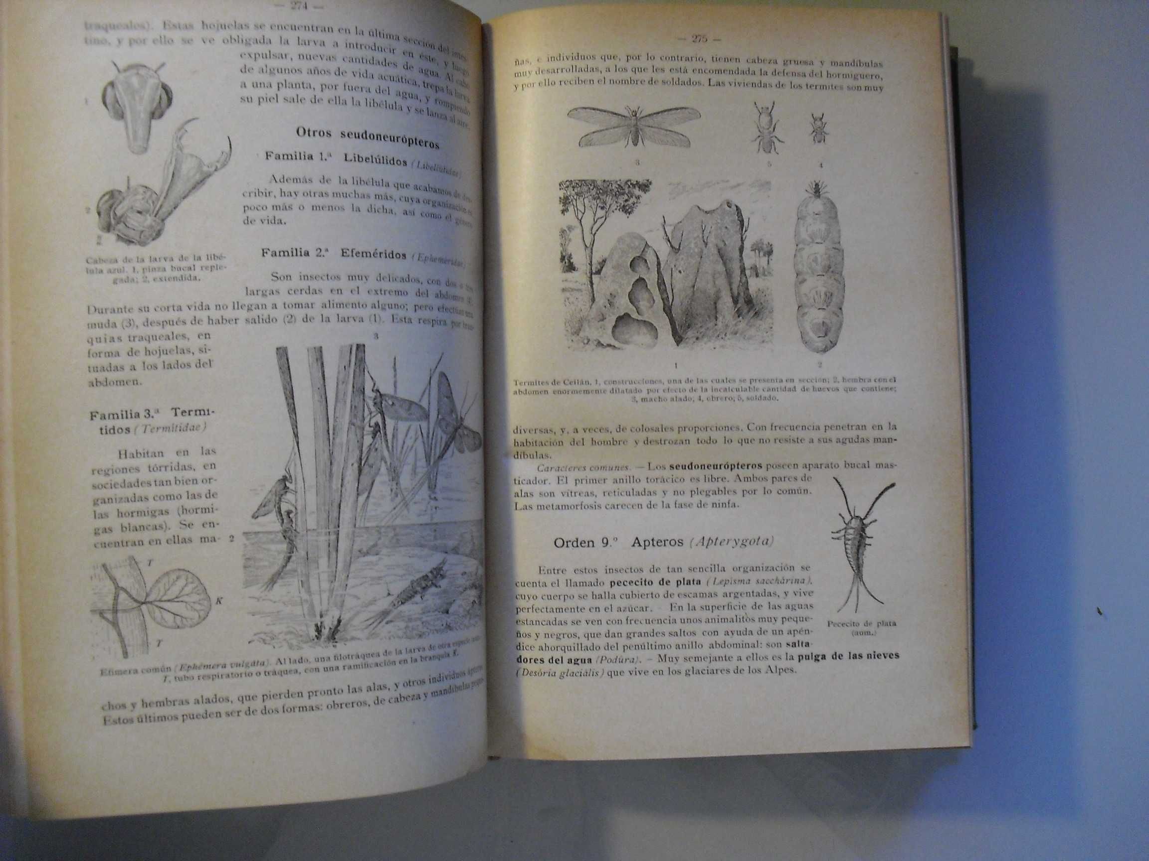 Schmeil (Otto);Curso de Zoologia