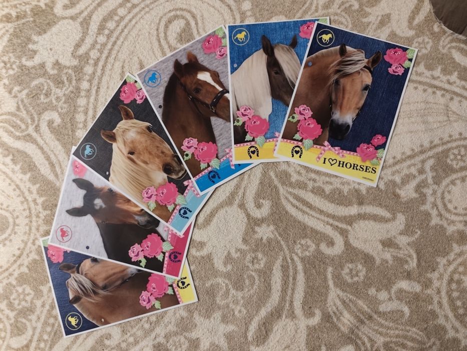 Karteczki A5 do segregatora I live horses