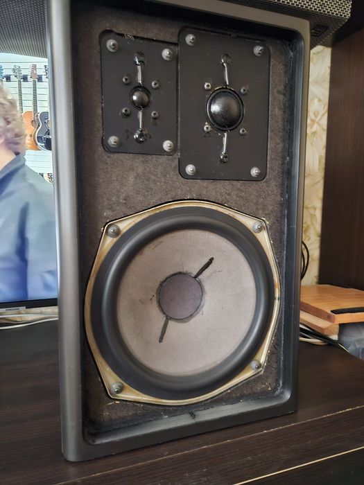 Аудифильские Hi Fi колонки  Grundig Hi Fi box 1000