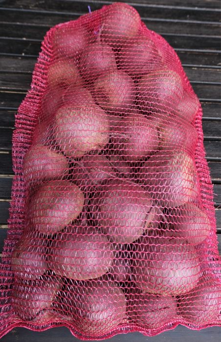 Buraki ćwikłowe 24kg bezpośrednio z gospodarstwa