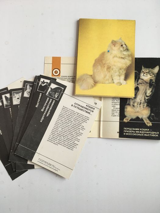 Открытки про кошек