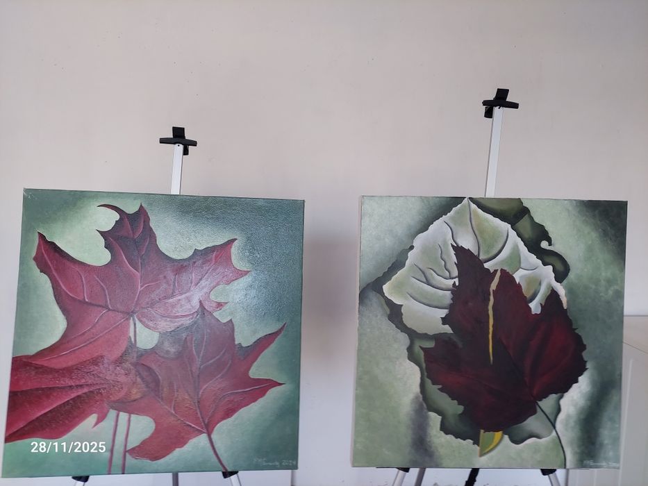 Conjunto de vários quadros pintados a óleo