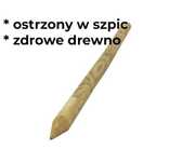 Słupki paliki palisada kołki drewniane do drzewek