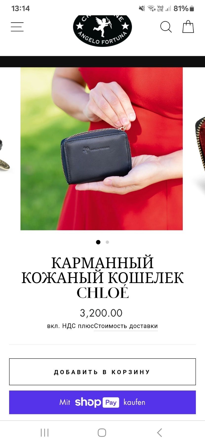 Сумка органайзер для документів  або  ноутбук Mac Book