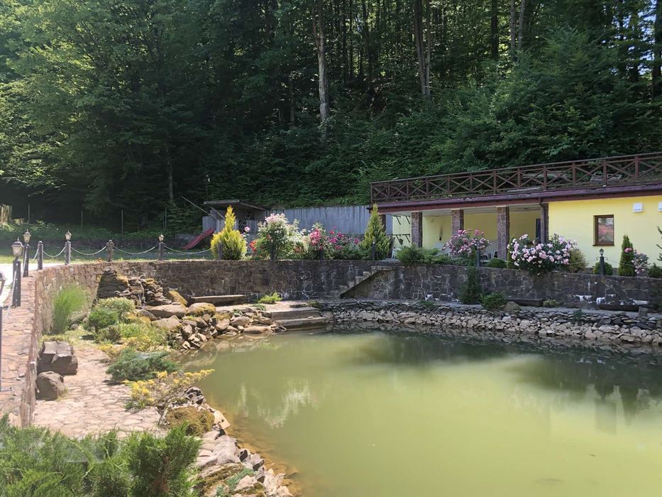 Новий рік Різдво Подобово в ШАЯН БАНЯ будинок Закарпатье Карпаты