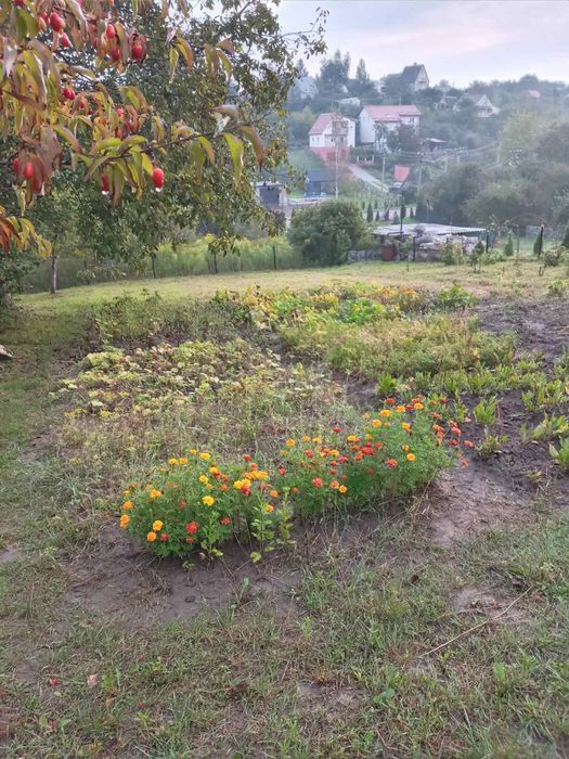 Дача 5км від Рівного