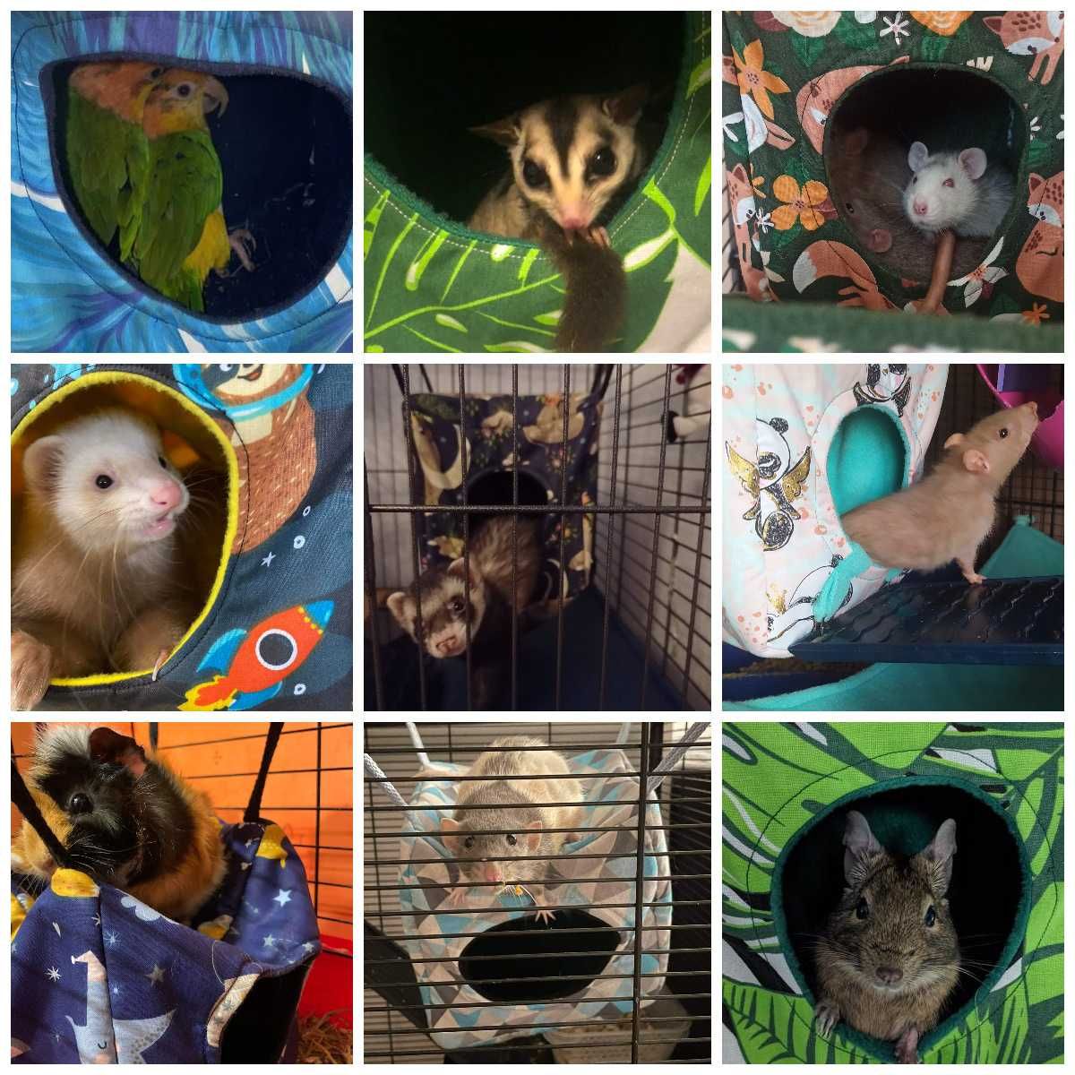 Miękkie hamaki i domek dla gryzoni, świnki, szczura, szynszyla, fretki