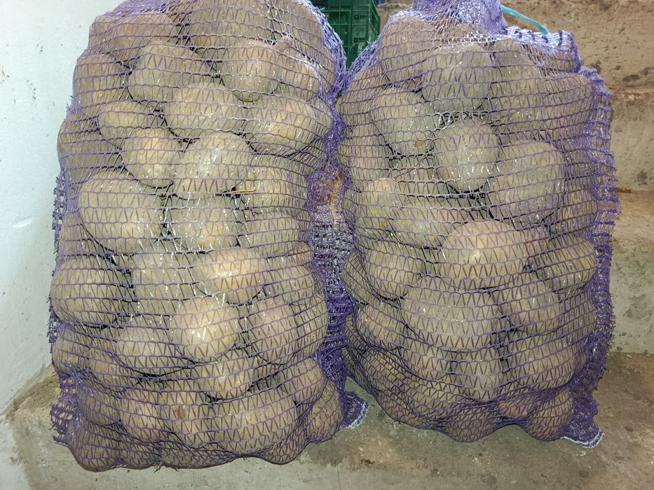 Продам дешево картоплю