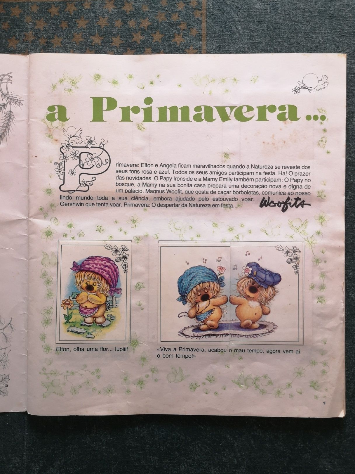 Woofits as 4 estações (caderneta de cromos - Panini 1982)