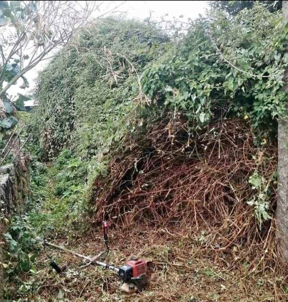 Faço limpeza de terrenos/jardim