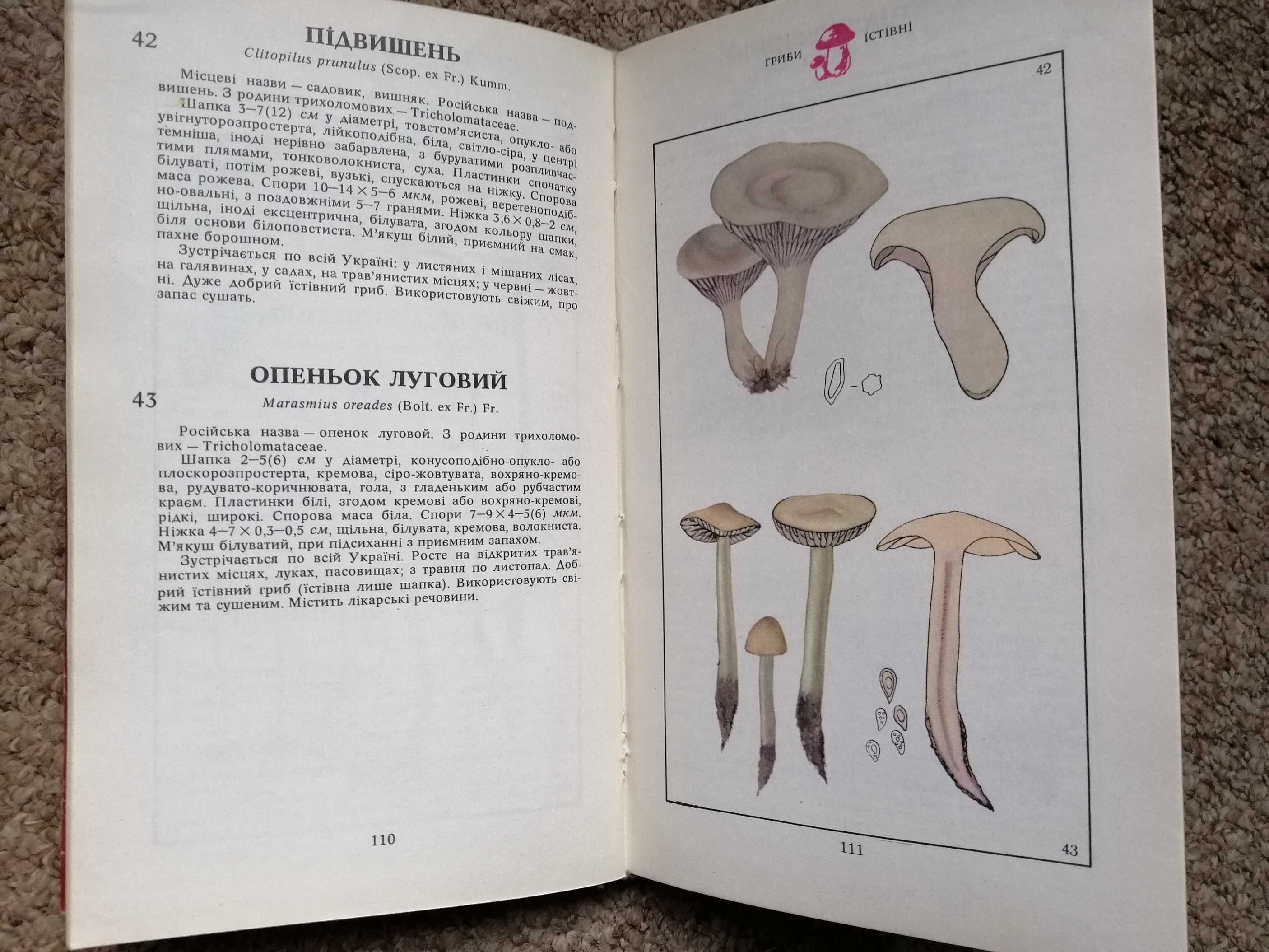 Книга Гриби Київ 1979