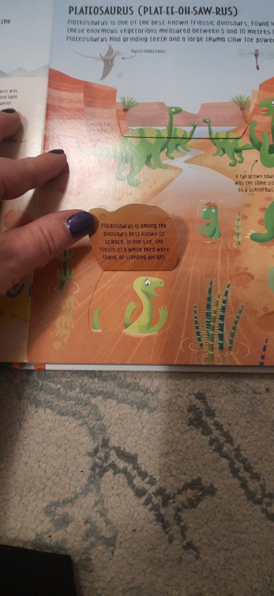 Książka z okienkami Dangerous Dinosaurs