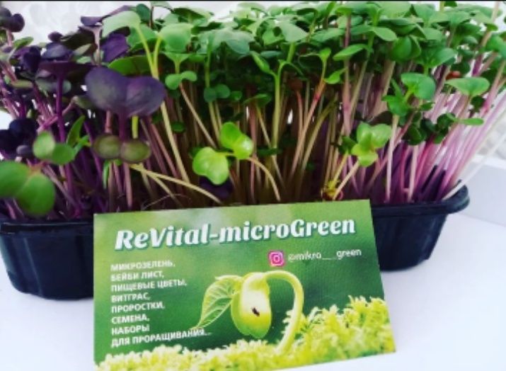 Микрозелень микрогрин