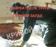 ‼️ ТРУПНЫЙ ЗАПАХ Уборка квартир Вывоз хлама Грузчики Озонирование