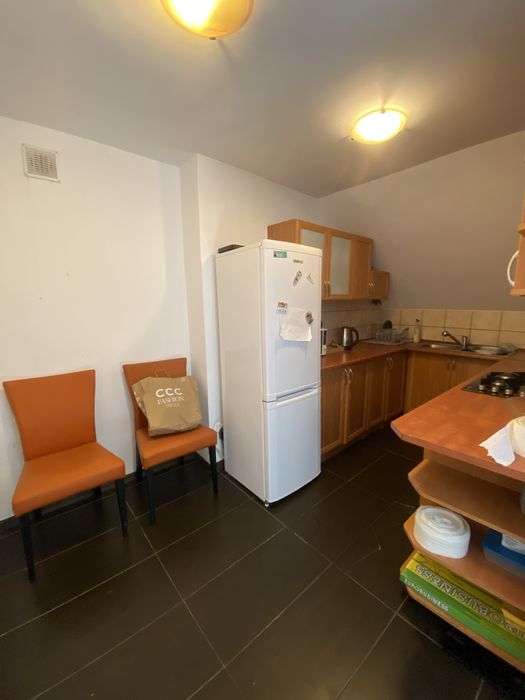 Wynajmę bezczynszowe mieszkanie w Płotach - kawalerka 40m2