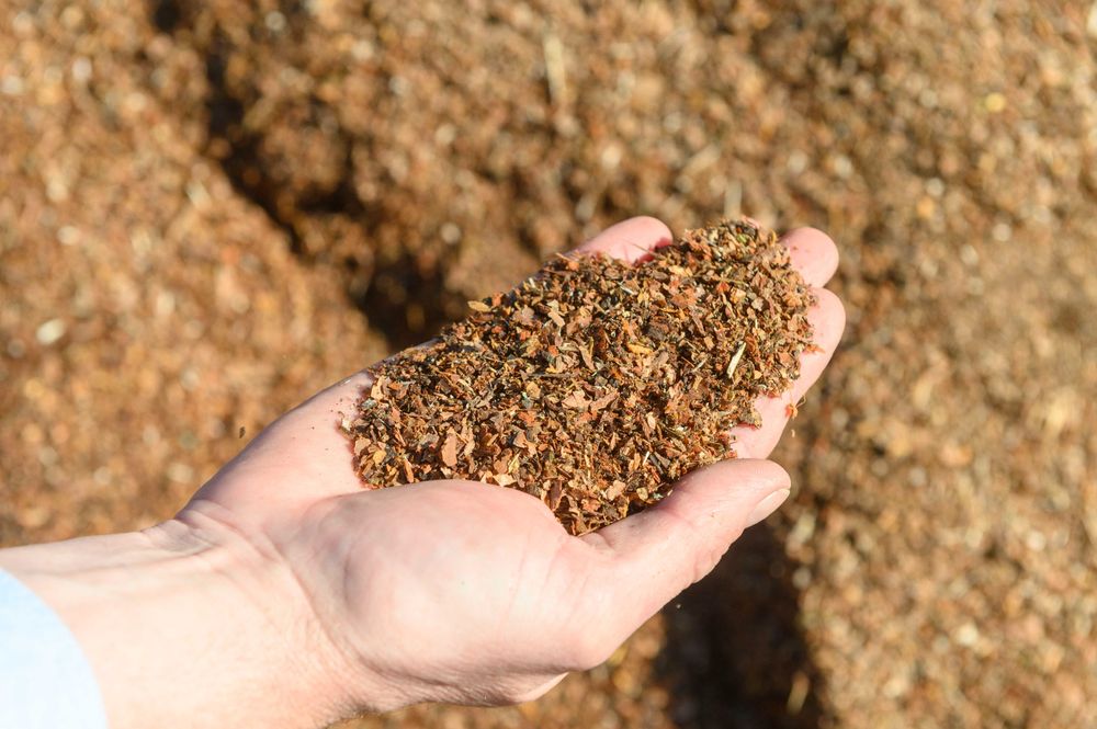 Kora sosnowa sortowana we workach 80 L