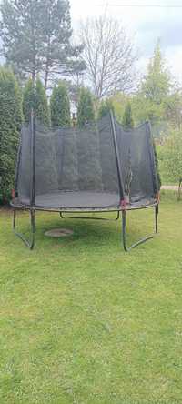 Trampolina trampolina