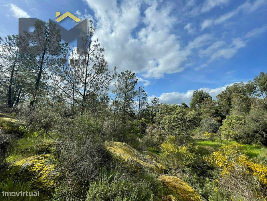 Terreno Rústico  Venda em Tinalhas,Castelo Branco