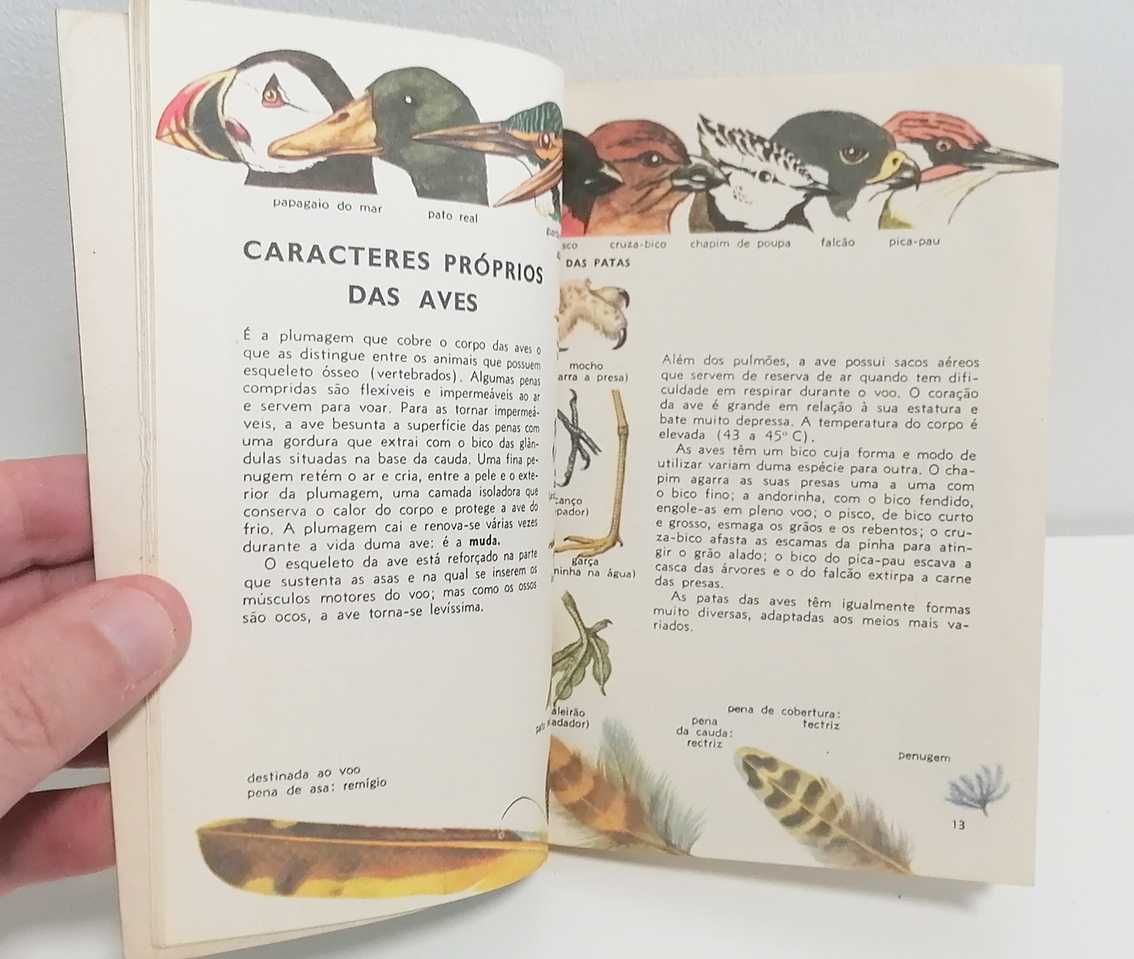 O Pequeno Guia - As Aves (Espécies Europeias)