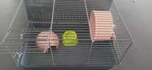 Gaiola para hamster