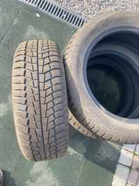 Зимові шини Gislaved Euro Frost 6 (215/55R17 98V)