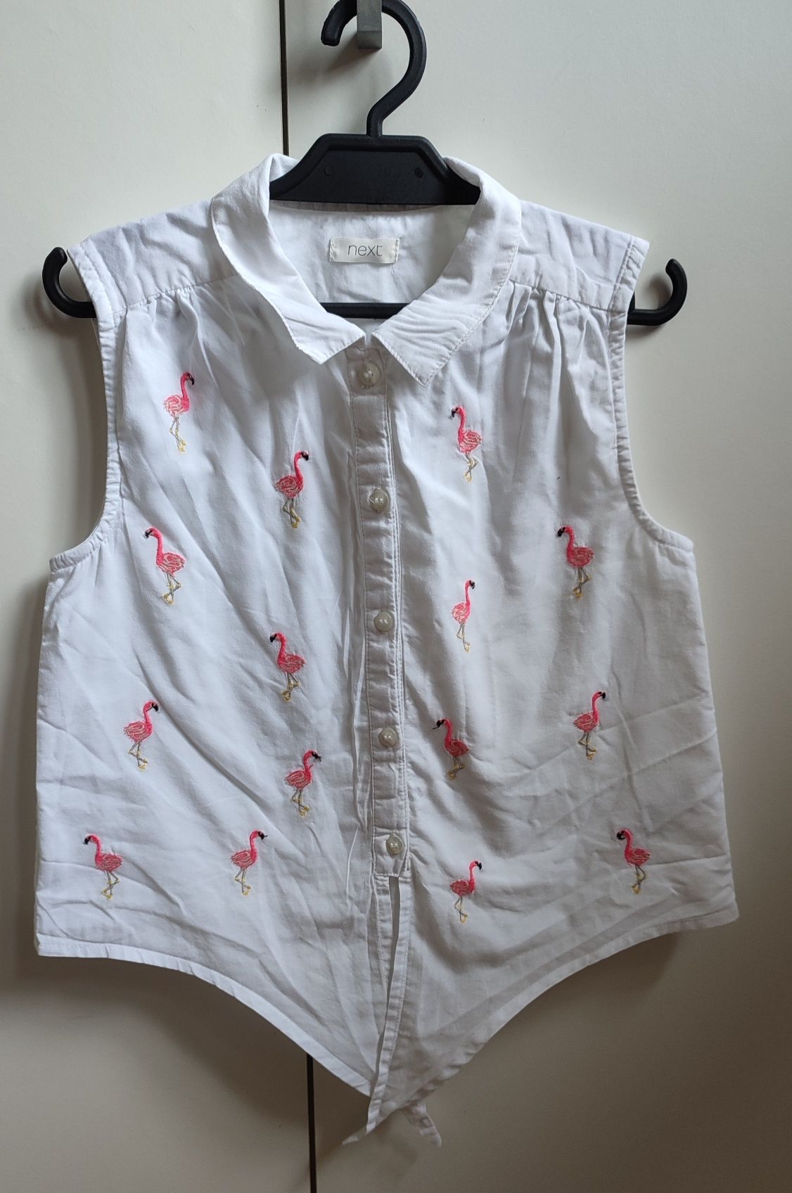 Koszula z flamingami