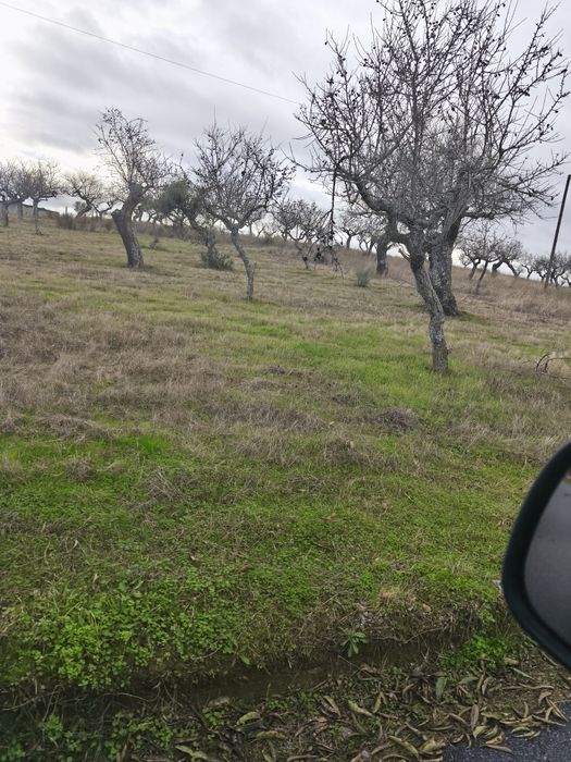 Terreno rústico em sequeiros