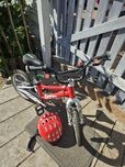 Rower woom 2 z kolekcji limitowanej w kolorze czerwonym.