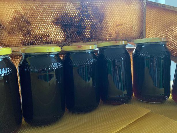 Miód Hurt słoik 0,9 1.2KG pszczoły rodziny pasieka odkłady Matki