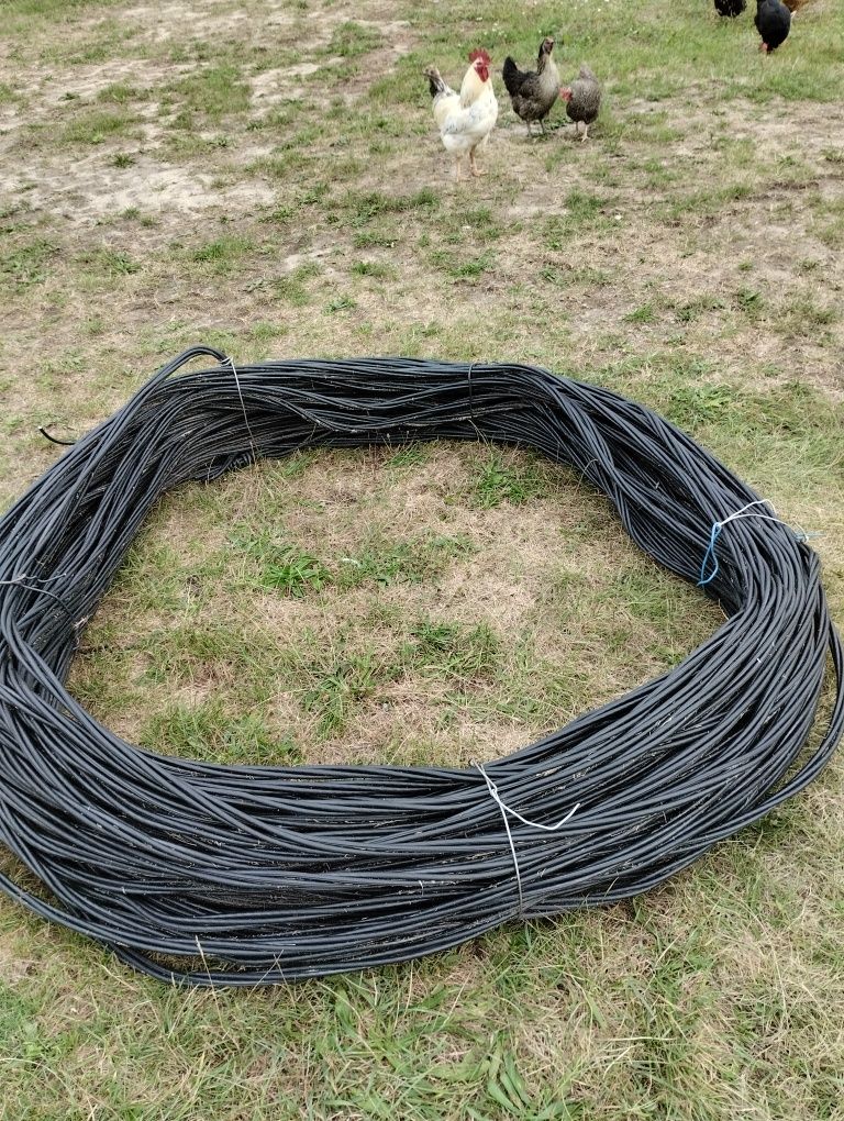 kabel AsXSn 4x35 warkocz