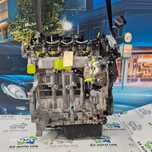 Motor Grupo PSA Peugeot Citroën 1.6 HDI
