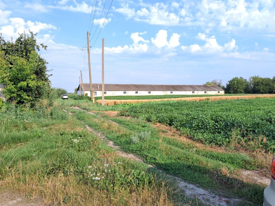 Продаж сільгосп.будівлі Свинарник