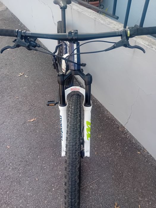 André Loureiro pinto