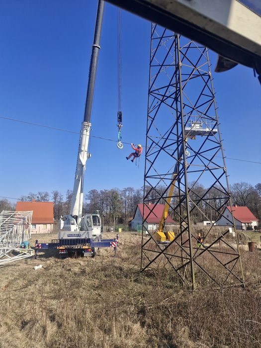Dźwig, podnośnik, wycinka drzew, rębak