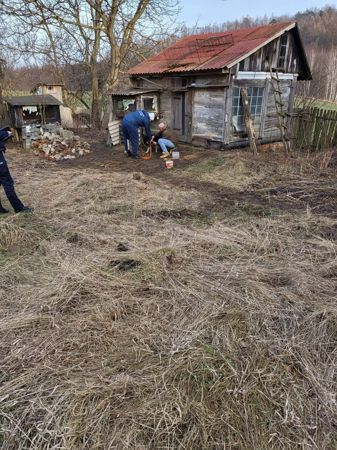 Oddam ci wszystko co mam tylko daj mi dom