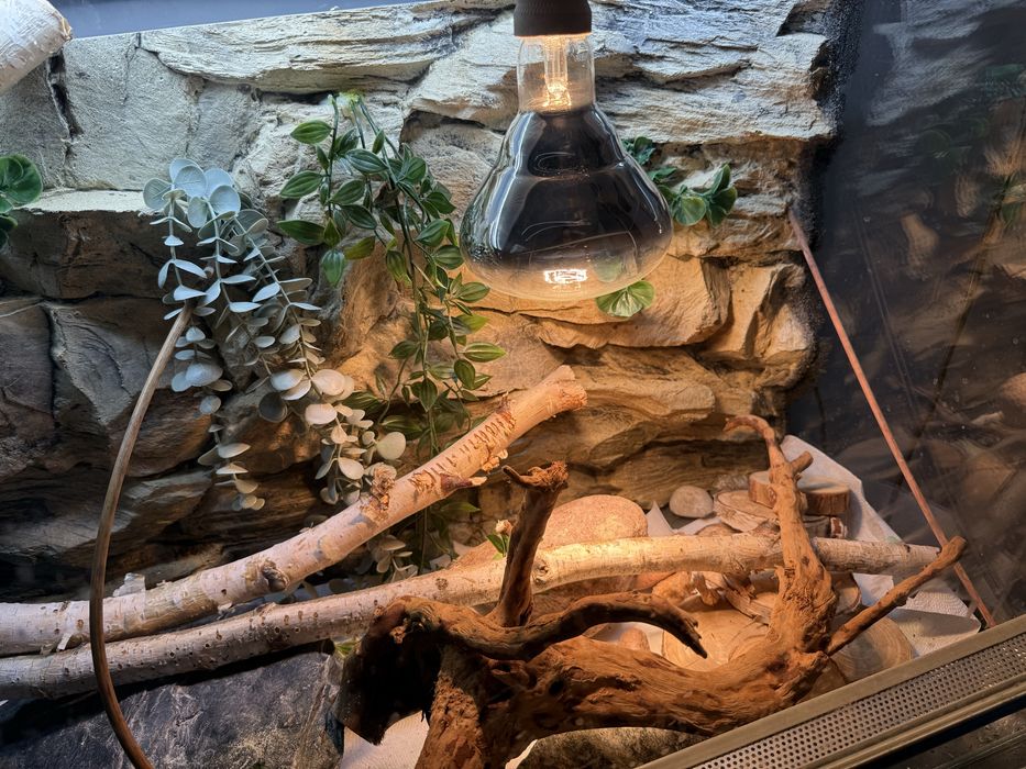 Terrarium 120x100 + wyposazenie w cenie