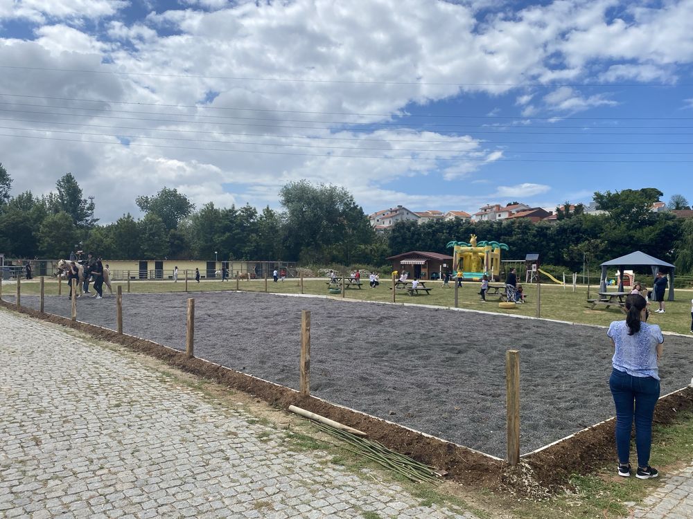 Cavalos a Penso ou Pasto - VNGaia e Gondomar