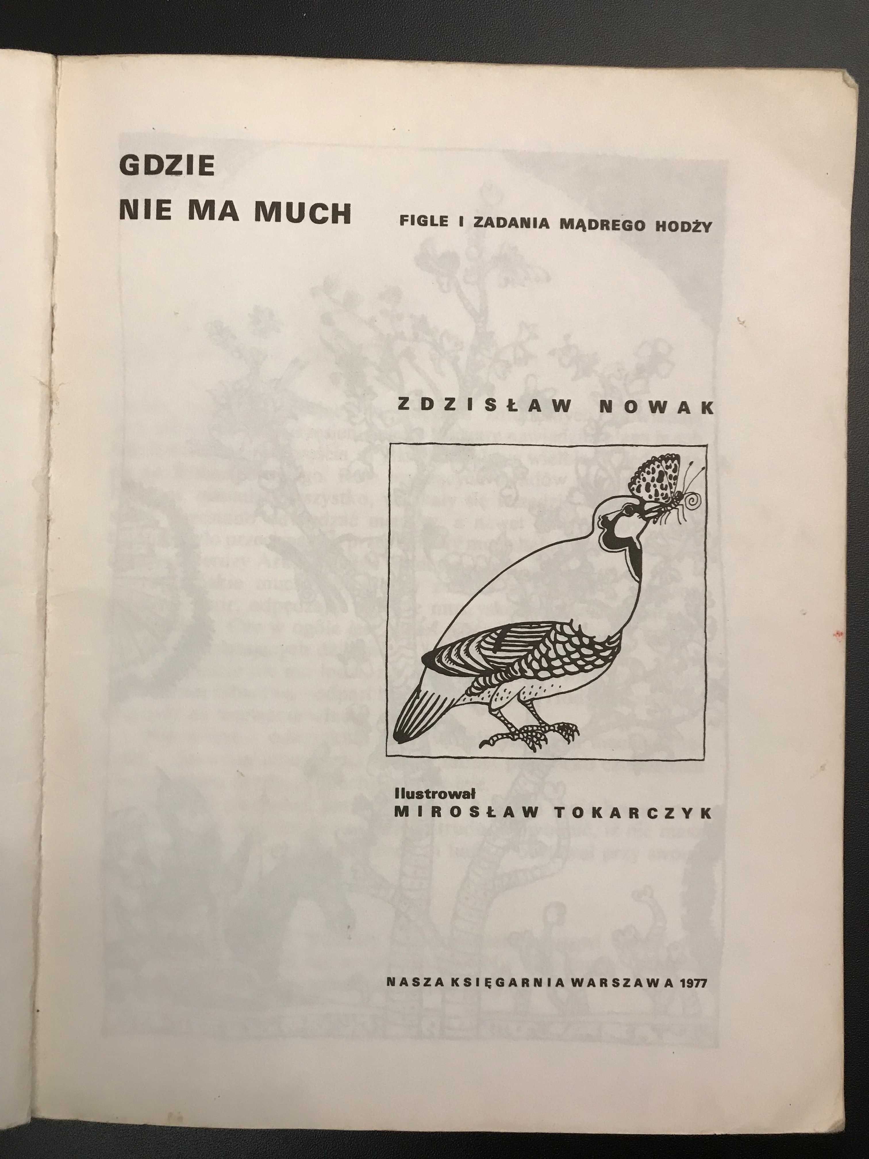Gdzie niema much. Figle i zadania mądrego Hodży. Zdzisław Nowak